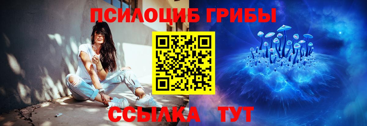Псилоцибиновые грибы MAGIC MUSHROOMS  Вход с VPN  Улан-Удэ 